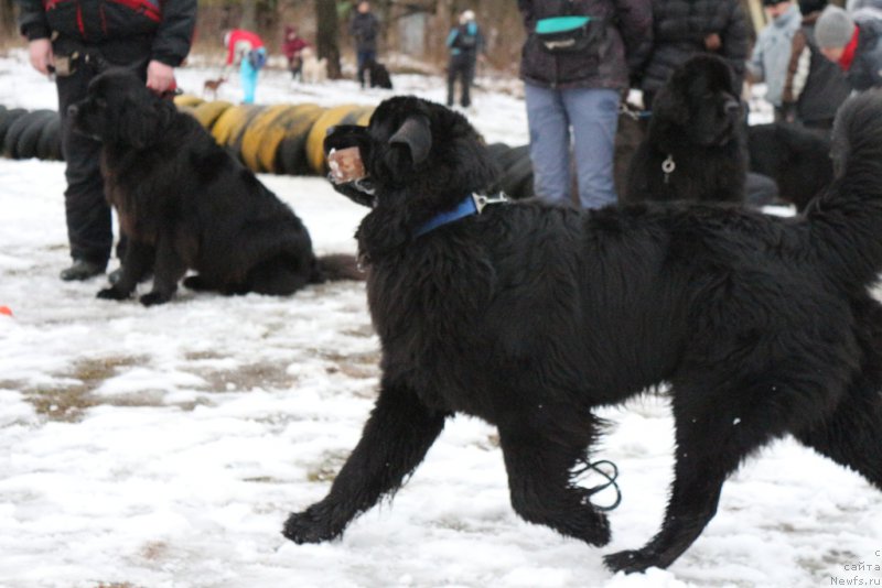 Фотография № 198685