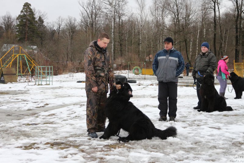 Фотография № 198686