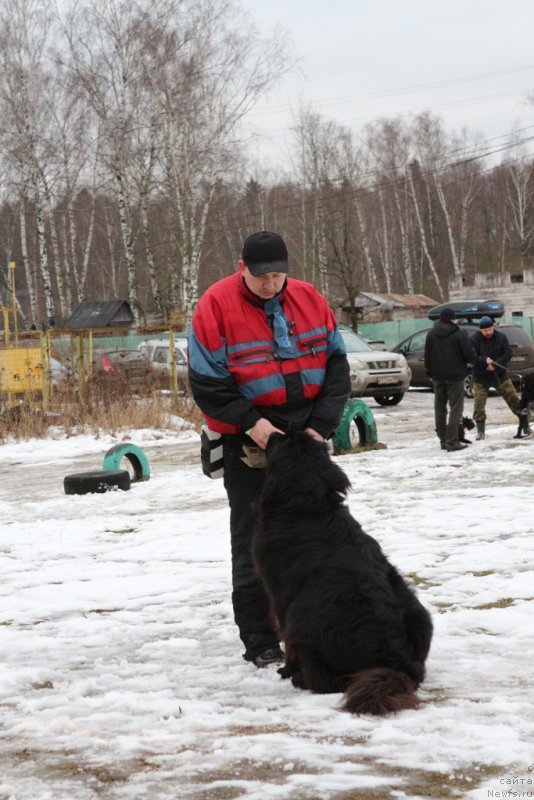 Фотография № 198689