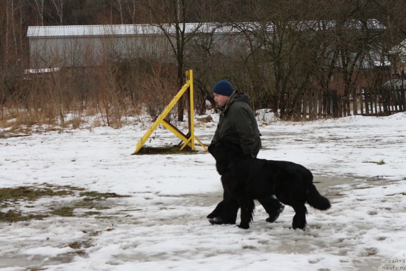 Фотография № 198690