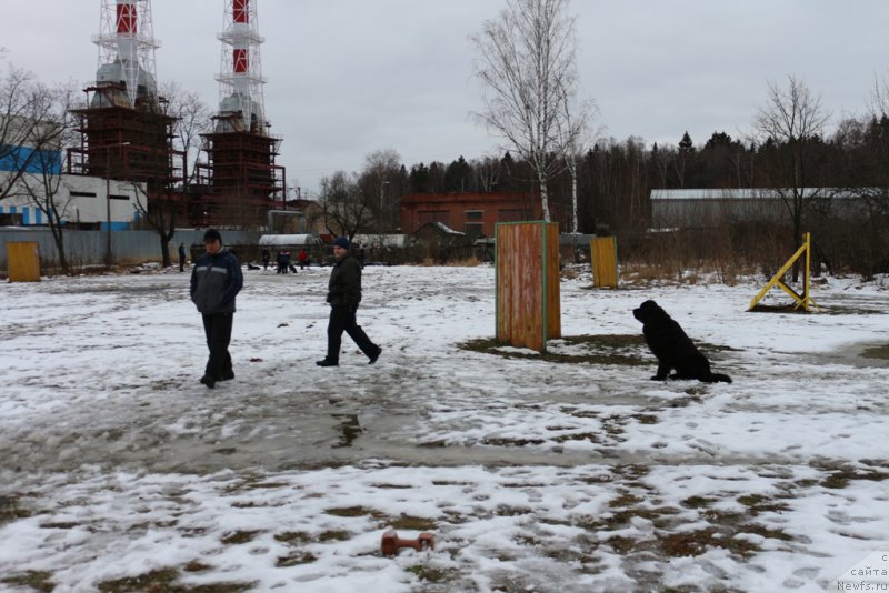 Фотография № 198691