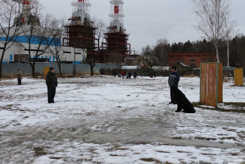 Фотография № 198692