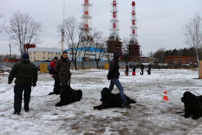 Фотография № 198697