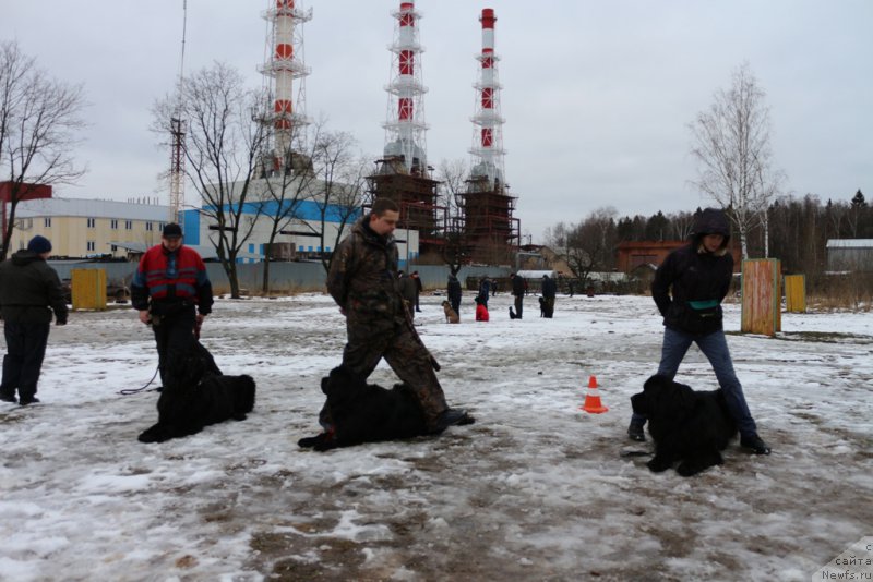 Фотография № 198698