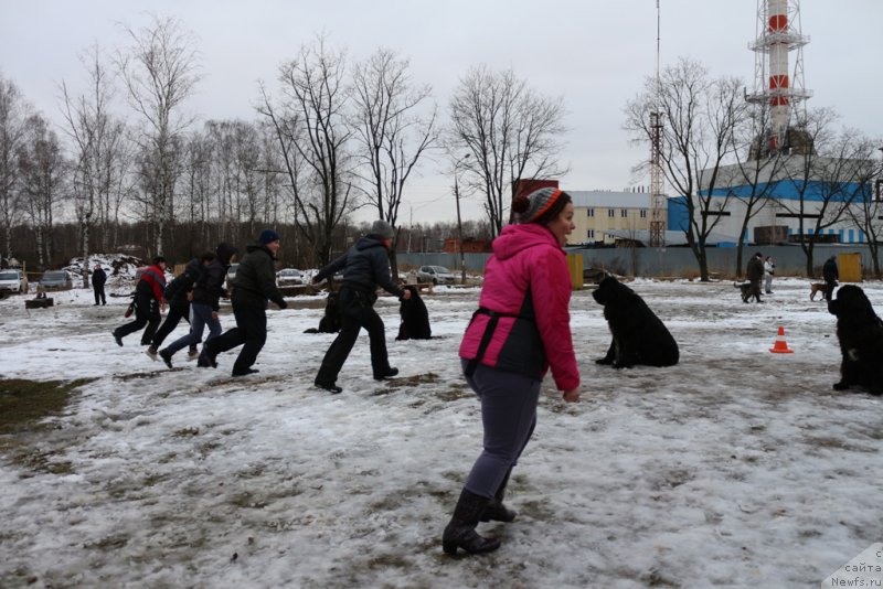 Фотография № 198700