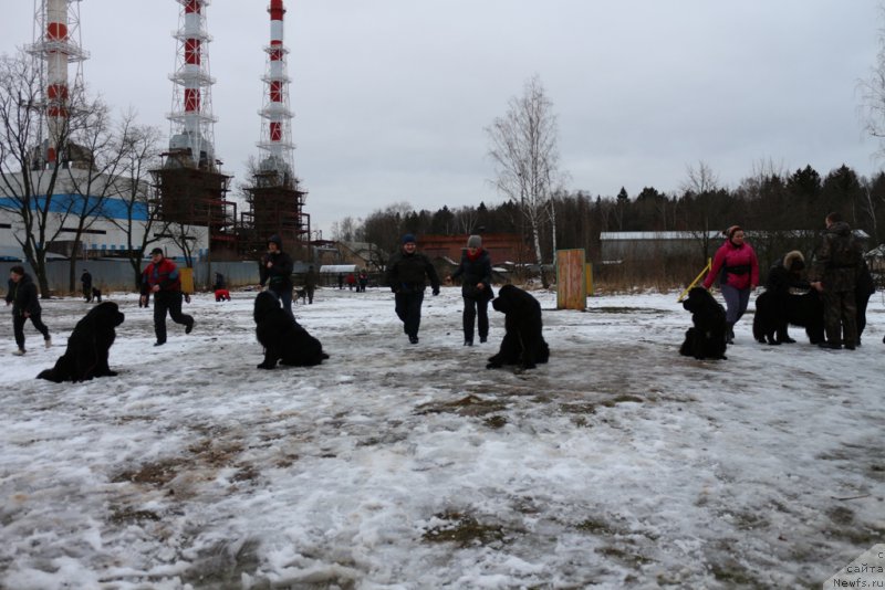 Фотография № 198701