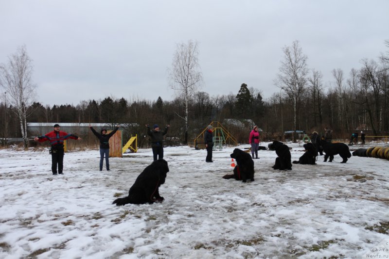 Фотография № 198702