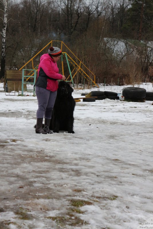 Фотография № 198704