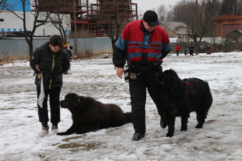 Фотография № 198705