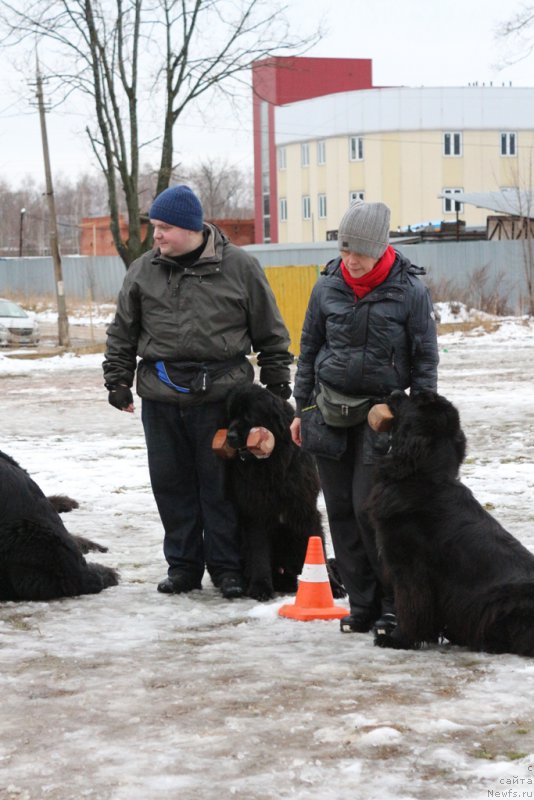 Фотография № 198707