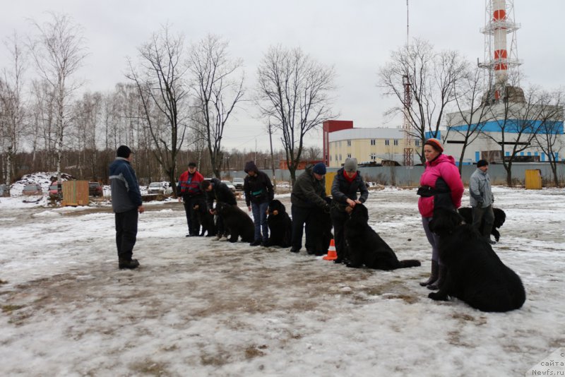 Фотография № 198708