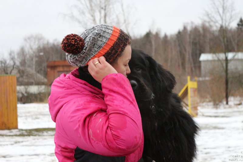 Фотография № 198710