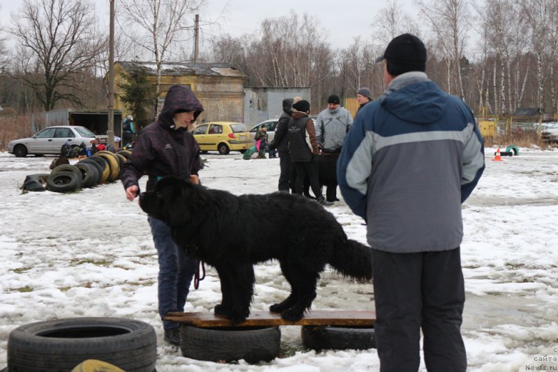 Фотография № 198713