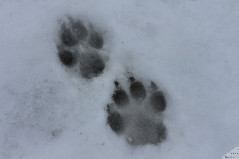 Фотография № 198714