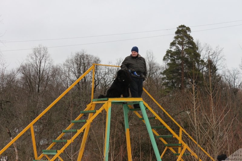 Фотография № 198715