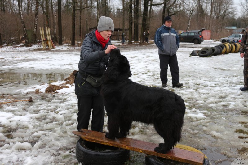 Фотография № 198717