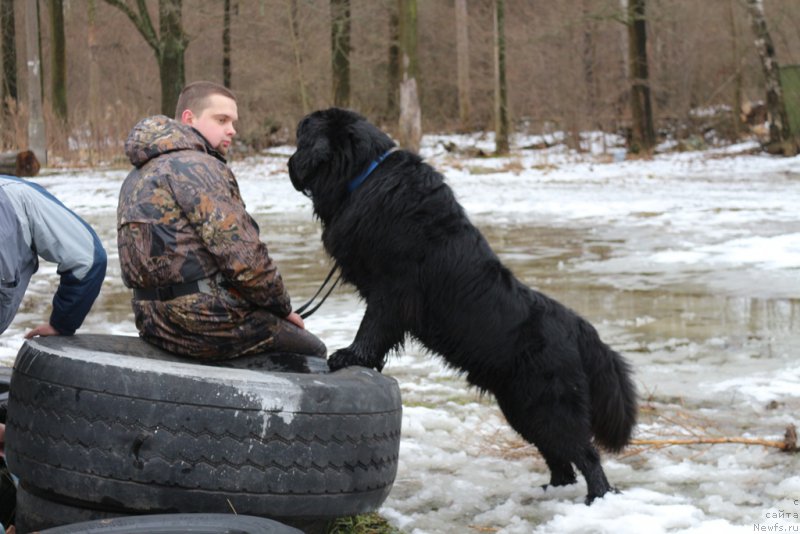 Фотография № 198718