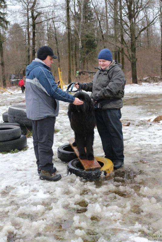 Фотография № 198719