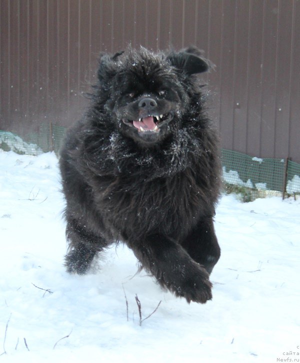 Фотография № 198722