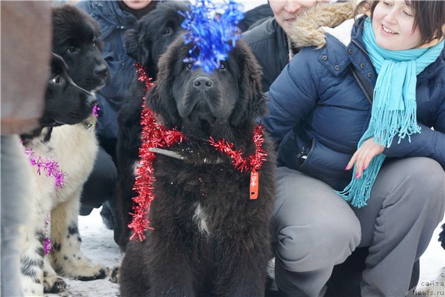 Фотография № 198724