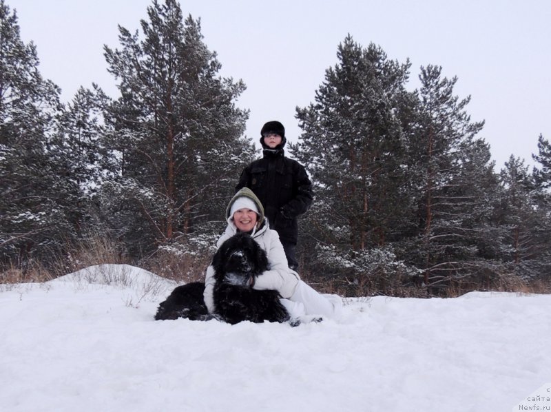 Фото: ньюфаундленд Би Перфект Арабелла, [p2376] и мой сынок Мишутка