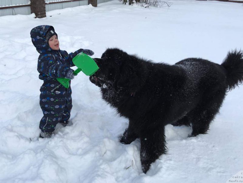 Фотография № 198758