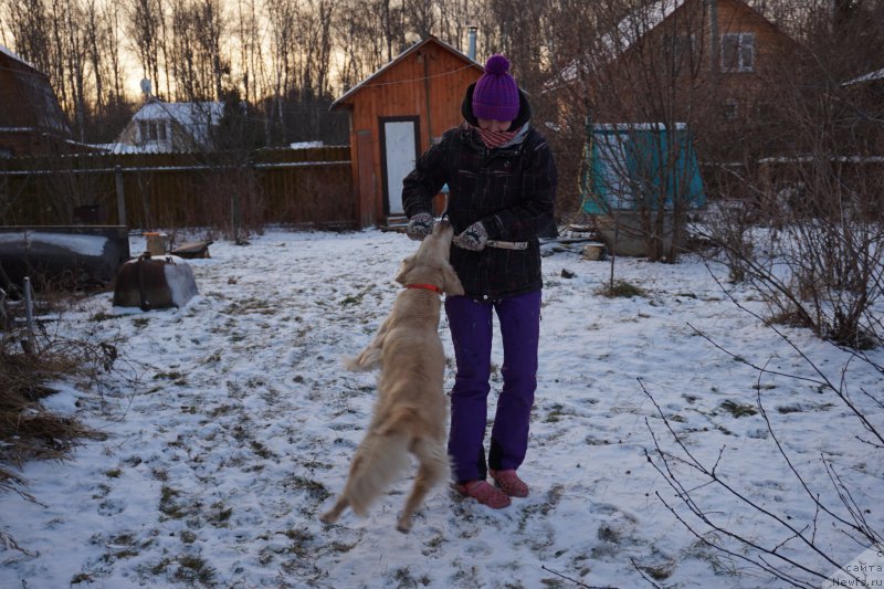 Фотография № 198778