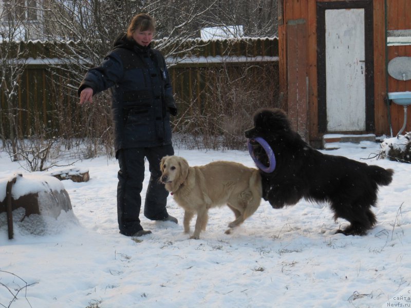 Фотография № 198786