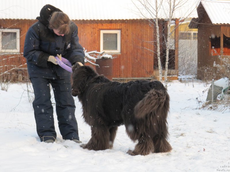 Фотография № 198787