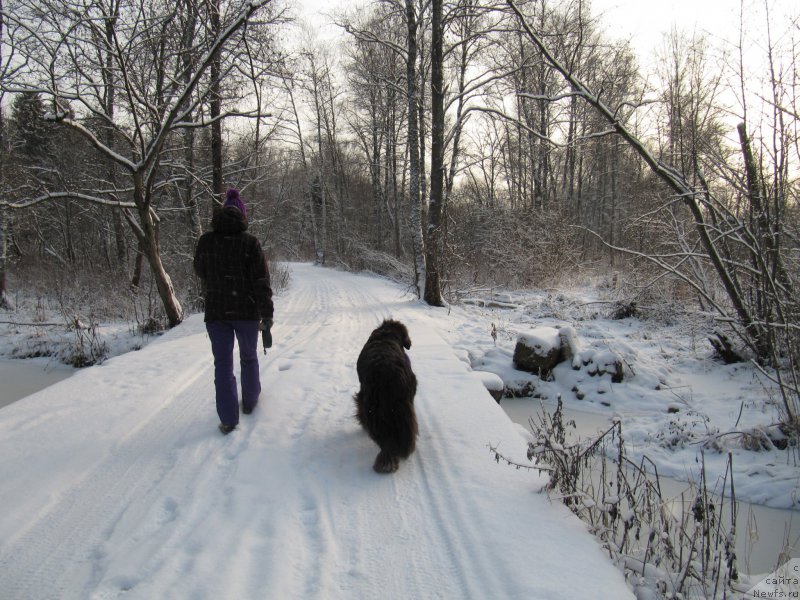 Фотография № 198788