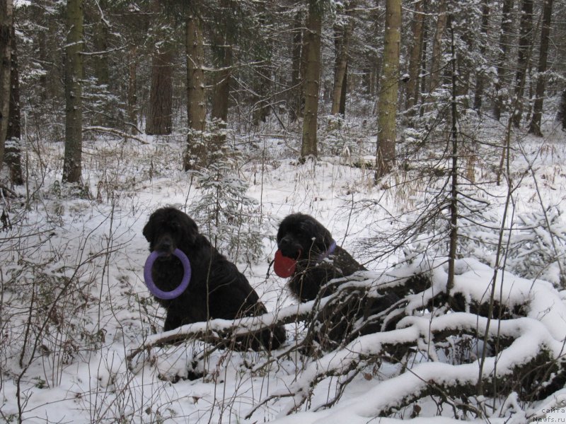 Фотография № 198792