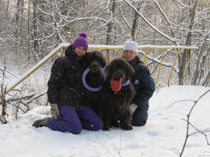 Фотография № 198797