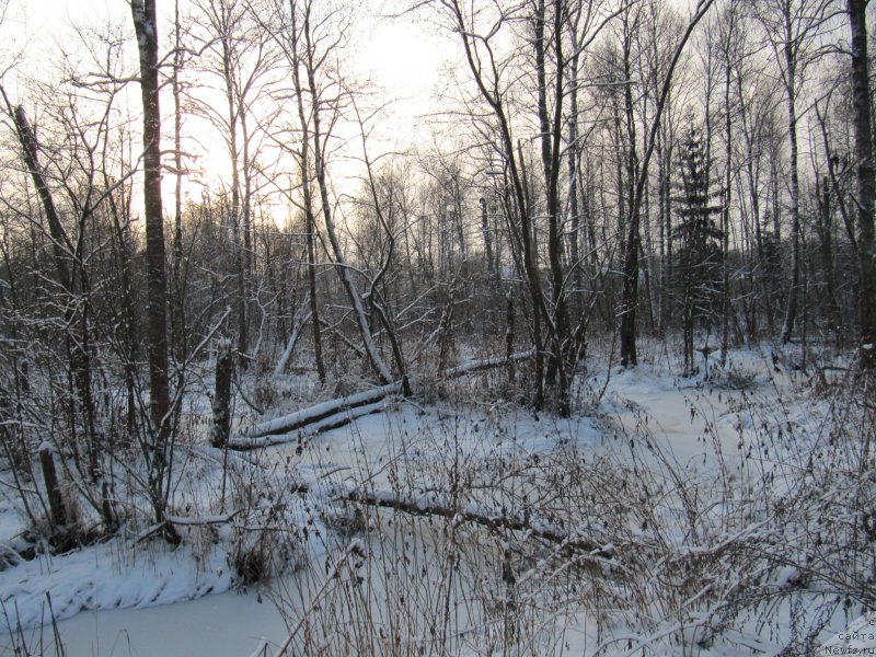 Фотография № 198798