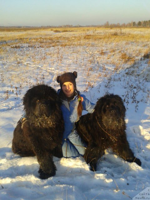 Фотография № 198815