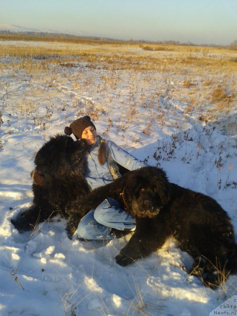 Фотография № 198817