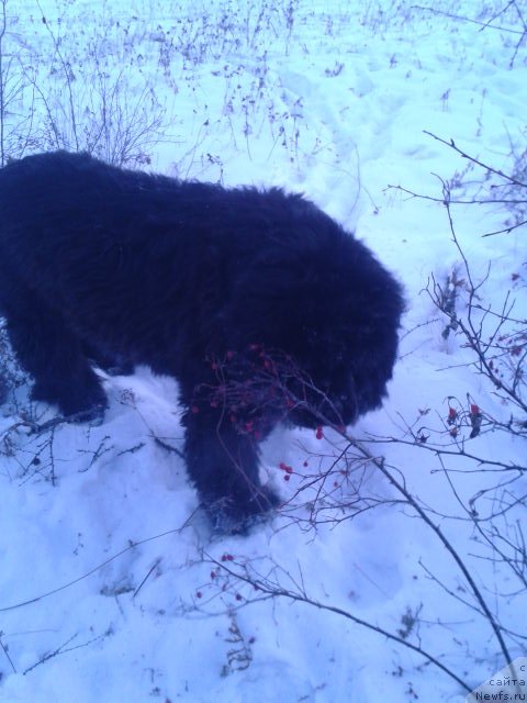 Фотография № 198818