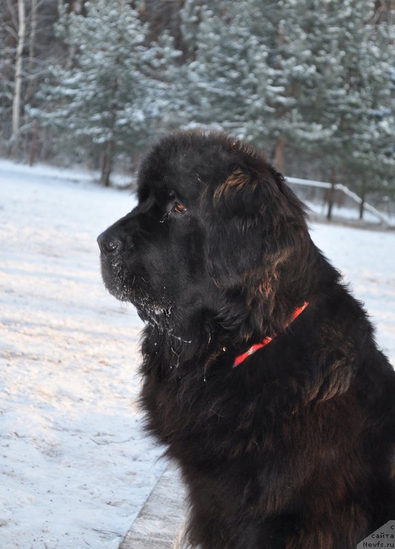 Фотография № 198827