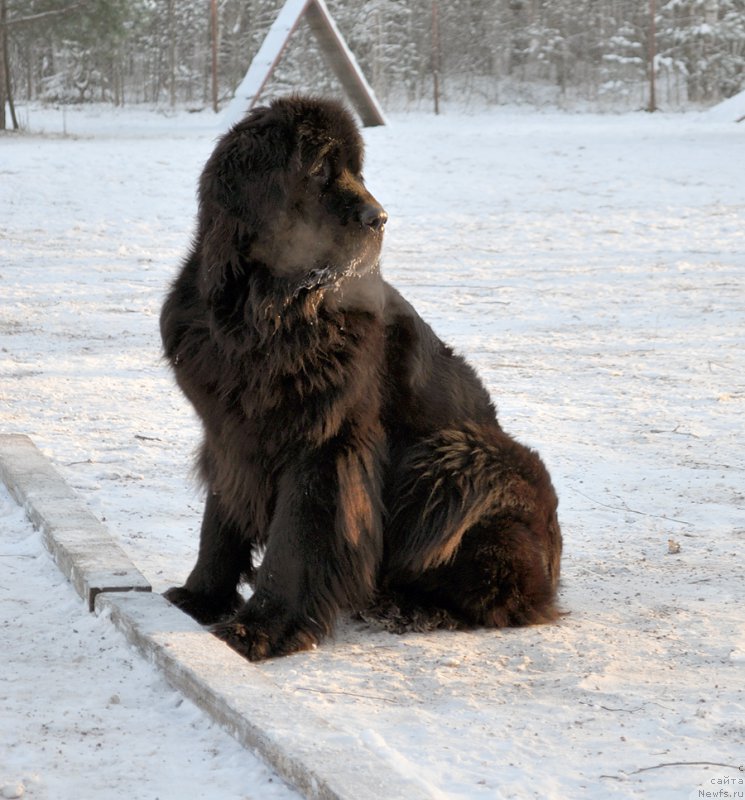 Фотография № 198828