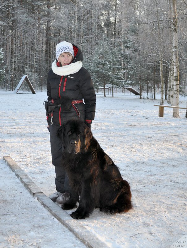 Фотография № 198829