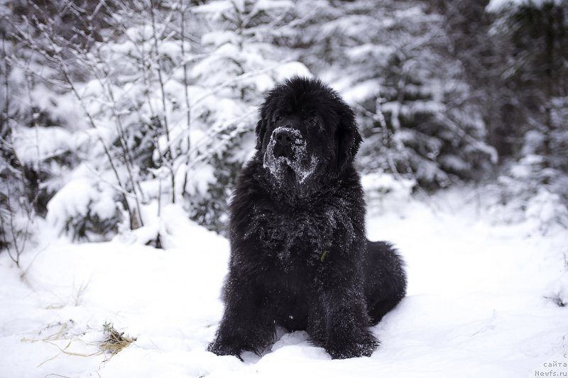 Фотография № 198831