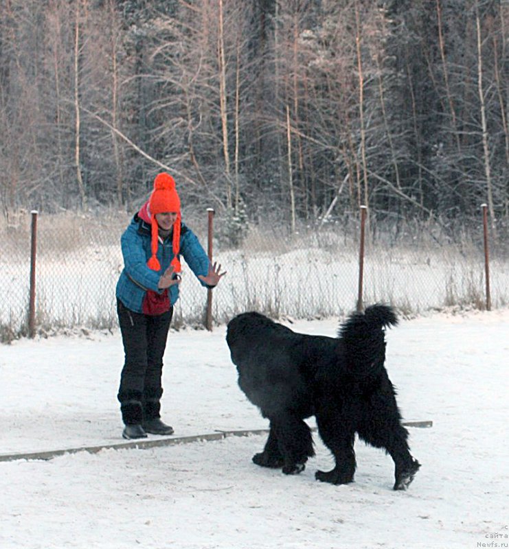 Фотография № 198847