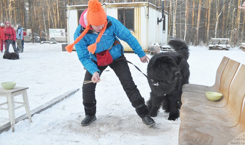 Фотография № 198849