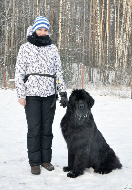 Фотография № 198850