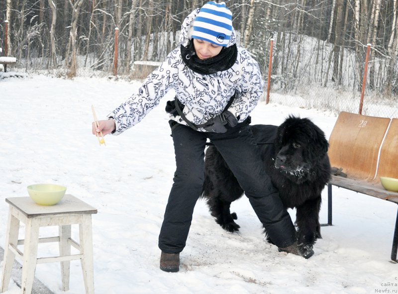 Фотография № 198851