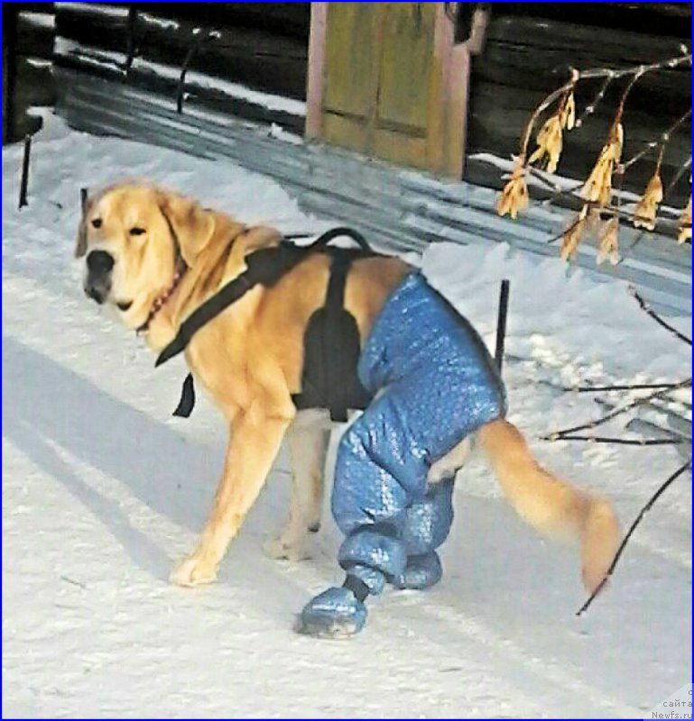 Фотография № 198855