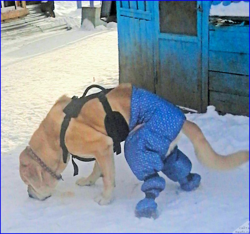 Фотография № 198857