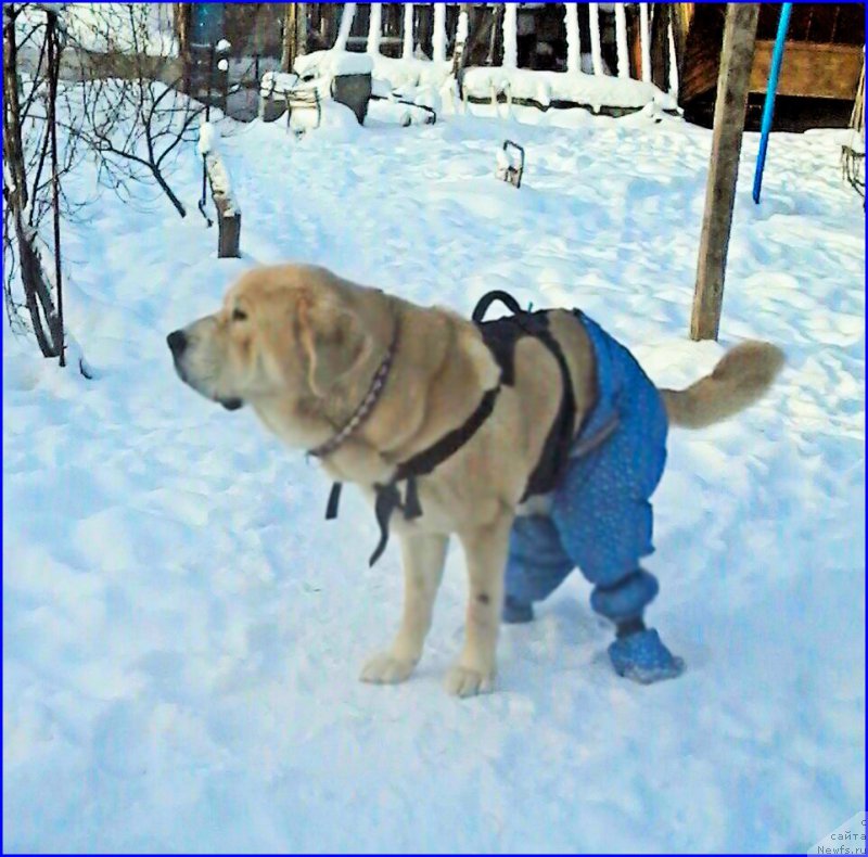 Фото: Лена Зырина