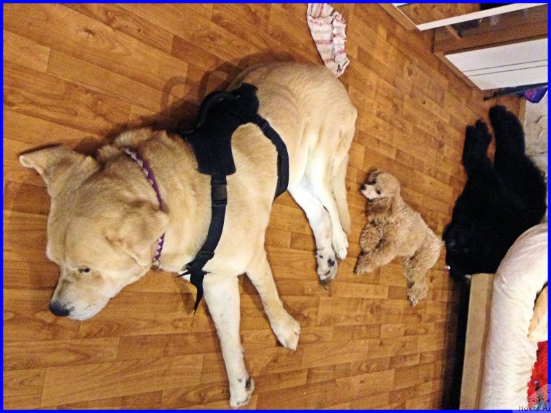 Фотография № 198867