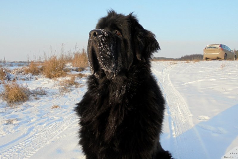 Фотография № 198881