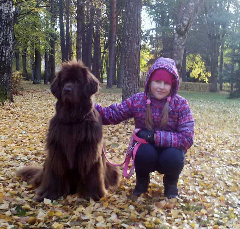 Фотография № 198883